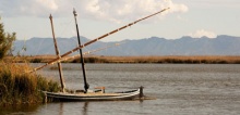 The Albufera